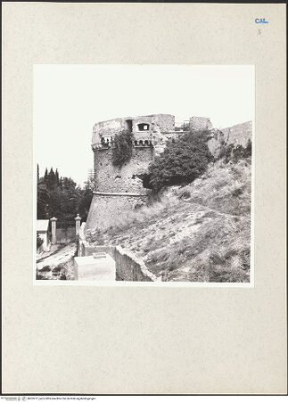 Vorderseite von bh205717_recto