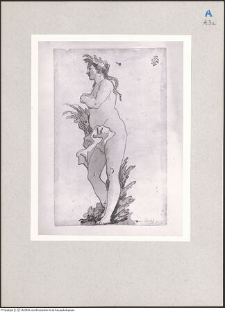 Vorderseite von bh205830_recto