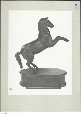 Vorderseite von bh205974_recto