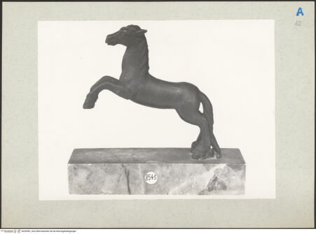 Vorderseite von bh205981_recto