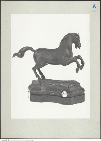 Vorderseite von bh205986_recto