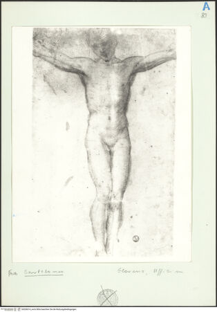 Vorderseite von bh206014_recto