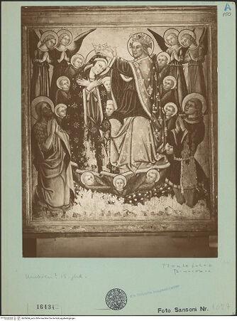 Vorderseite von bh206046_recto