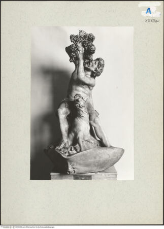 Vorderseite von bh206095_recto