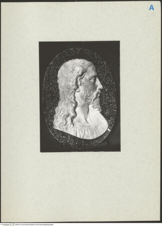 Vorderseite von bh206116_recto