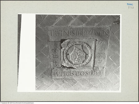 Vorderseite von bh206136_recto