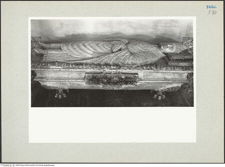 Vorderseite von bh206144_recto