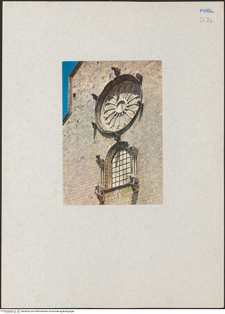 Vorderseite von unbekannt [https://www.deutsche-digitale-bibliothek.de/content/lizenzen/rv-ez/] CattedraleWestfassade - Mittleres Rundbogenfenster und Rose, bh206365_recto. Foto.