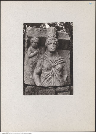 Vorderseite von bh206379_recto