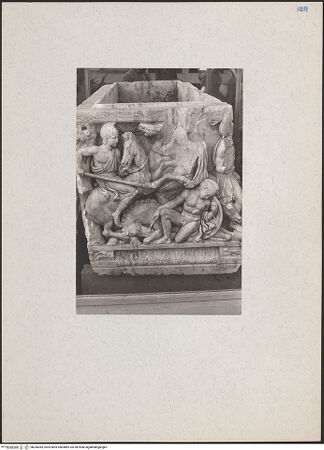 Vorderseite von bh206383_recto