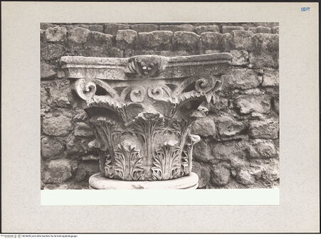 Vorderseite von bh206385_recto