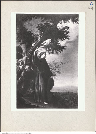 Vorderseite von bh206583_recto