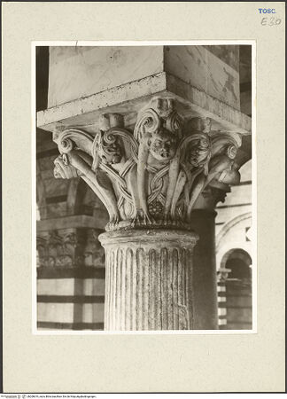 Vorderseite von bh206619_recto