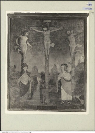 Vorderseite von bh206626_recto