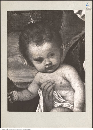 Vorderseite von bh206627_recto