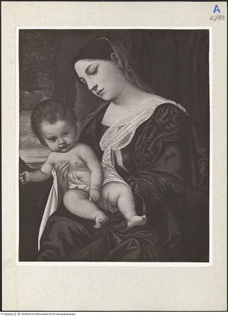 Vorderseite von bh206628_recto