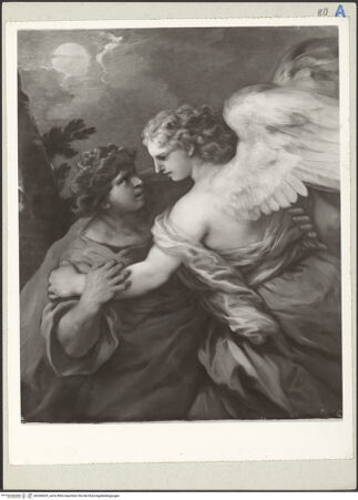 Vorderseite von bh206629_recto