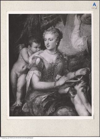 Vorderseite von bh206632_recto