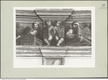 Vorderseite von bh206642_recto