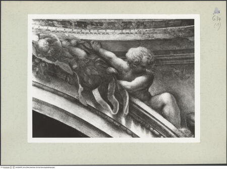 Vorderseite von bh206699_recto