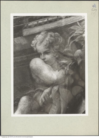 Vorderseite von bh206705_recto