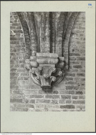 Vorderseite von bh206950_recto