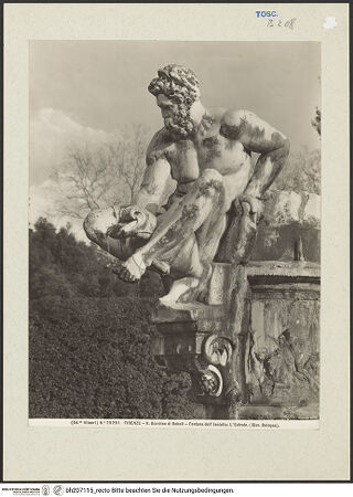 Vorderseite von bh207115_recto