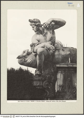 Vorderseite von bh207116_recto