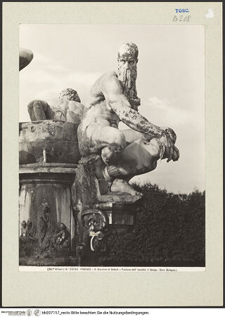 Vorderseite von bh207117_recto