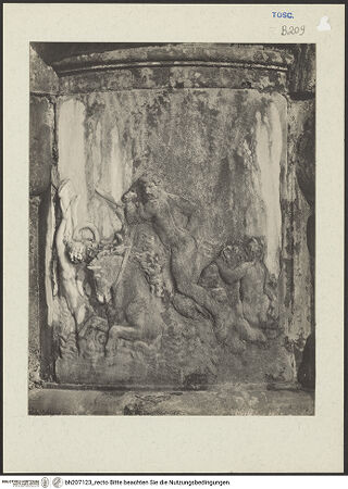 Vorderseite von bh207123_recto