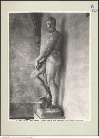 Vorderseite von bh207124_recto