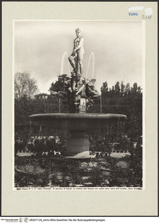 Vorderseite von bh207126_recto