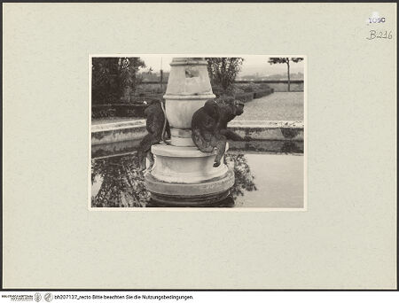 Vorderseite von bh207137_recto