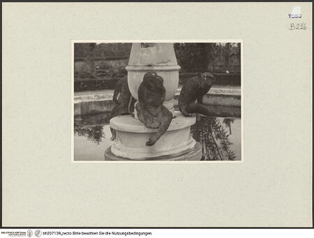 Vorderseite von bh207139_recto