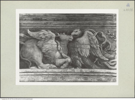 Vorderseite von bh207158_recto