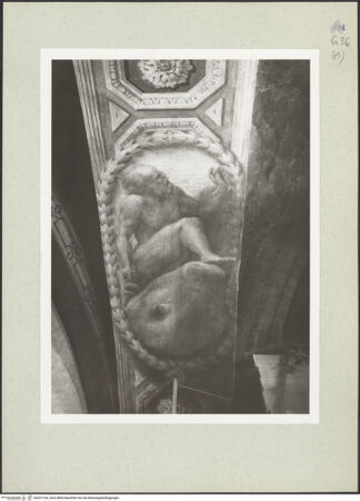 Vorderseite von bh207164_recto