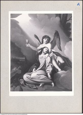 Vorderseite von bh207323_recto