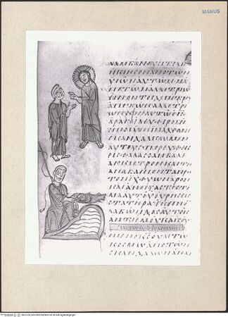 Vorderseite von bh207353_recto