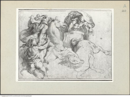 Vorderseite von bh207361_recto