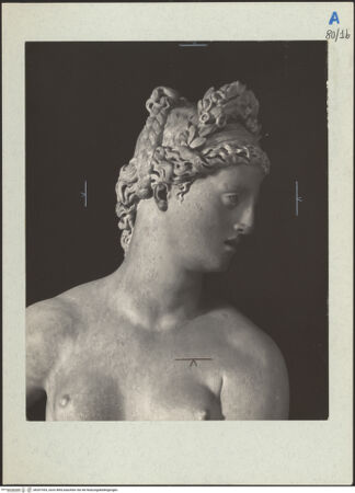 Vorderseite von bh207435_recto