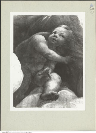 Vorderseite von bh207494_recto