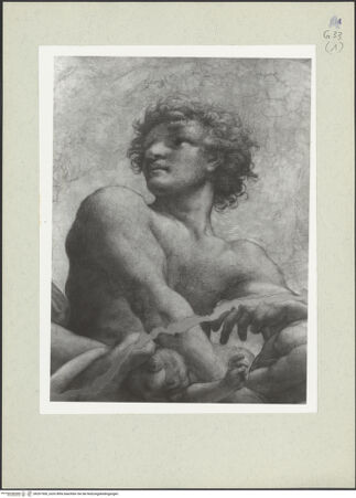 Vorderseite von bh207500_recto