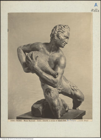 Vorderseite von bh207514_recto