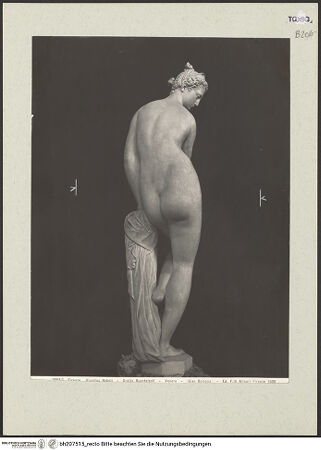 Vorderseite von bh207515_recto