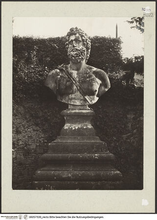 Vorderseite von bh207530_recto