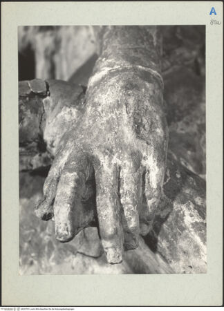 Vorderseite von bh207531_recto