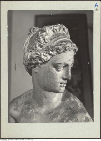 Vorderseite von bh207533_recto