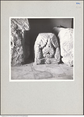 Vorderseite von bh207538_recto