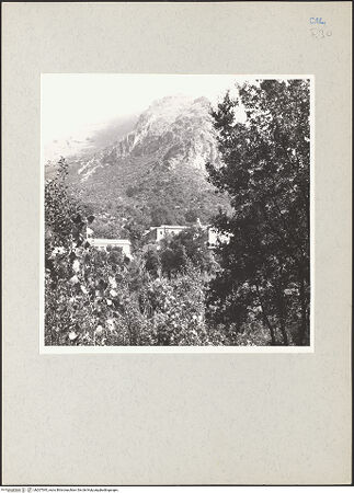 Vorderseite von bh207545_recto