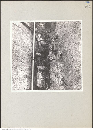 Vorderseite von bh207546_recto